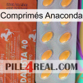 Comprimés Anaconda 43